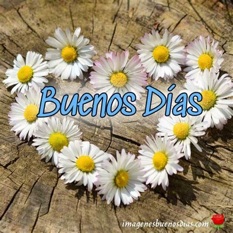 flores buenos días